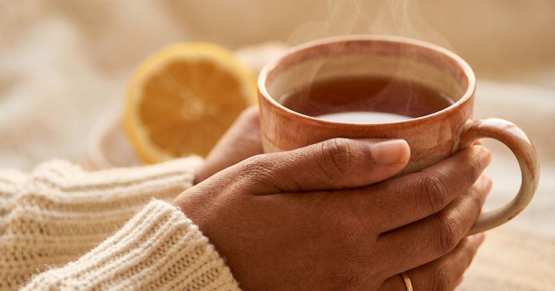 Read more about the article Nature’s Shield: Build Your Winter Immunity